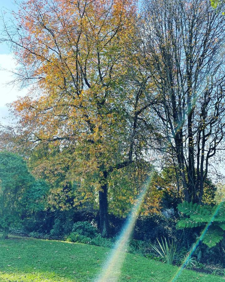 Clarendon Manor And Cottages Howick Eksteriør billede